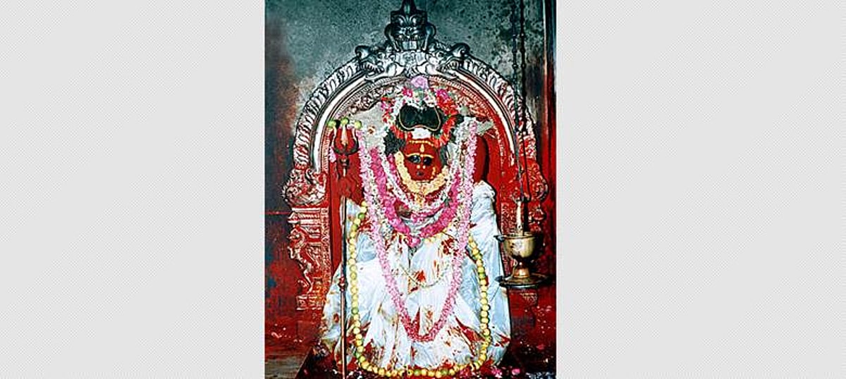 ஆடி அமாவாசை: சிதம்பரம் தில்லைக்காளிக்கு மகாபிஷேகம்!